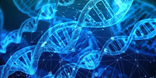 H5N1 bird flu mutation