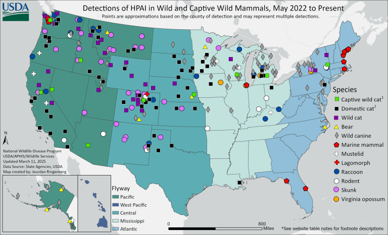 USDA Map showing detections of H5N1 in wild and captive mammals as of March 11, 2025